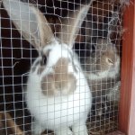 phoca_thumb_m_001 47 Fotogalerie